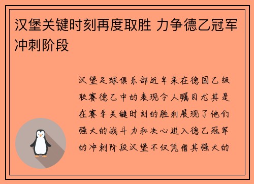 汉堡关键时刻再度取胜 力争德乙冠军冲刺阶段